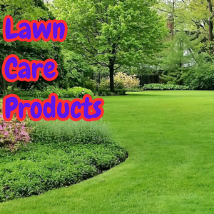 A Beautiful Landscaped Lawn
